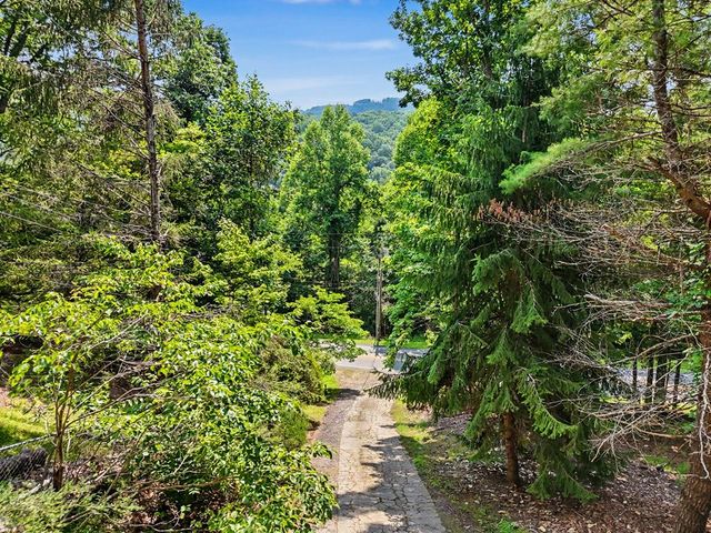 3477 Salem Road, Mineral Bluff, GA 30559