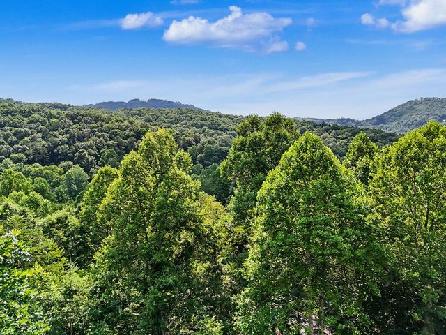 3477 Salem Road, Mineral Bluff, GA 30559