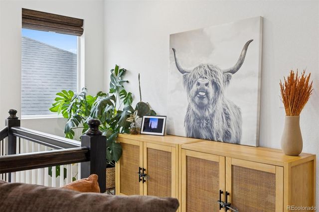 9152 Rio Blanco Street, Littleton, CO 80125