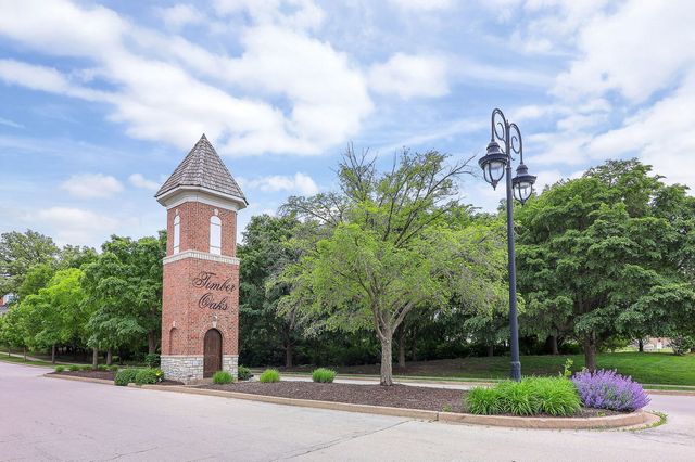 317 Timber Ridge Court 131, Joliet, IL 60431
