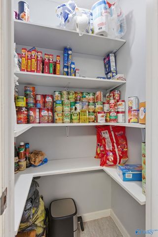 41 Morgan Nelson Road, Falkville, AL 35622