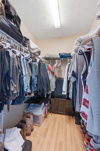 41 Morgan Nelson Road, Falkville, AL 35622