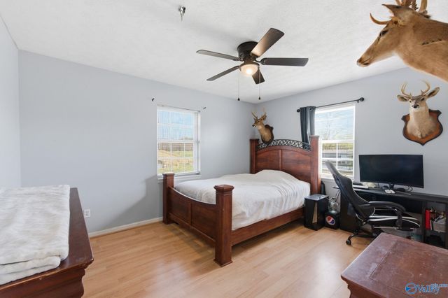 41 Morgan Nelson Road, Falkville, AL 35622