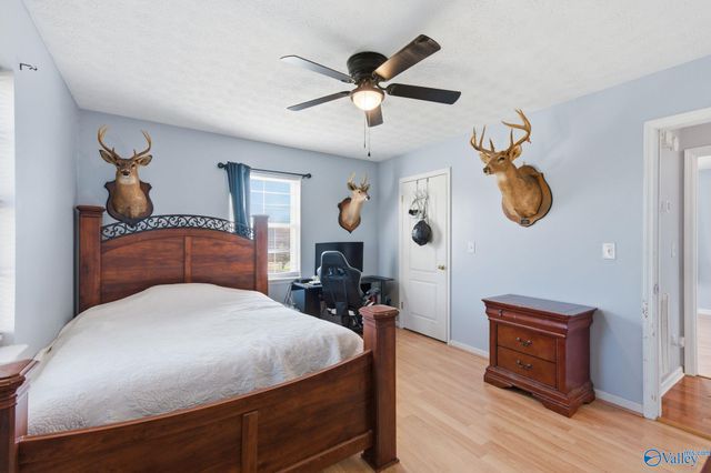 41 Morgan Nelson Road, Falkville, AL 35622