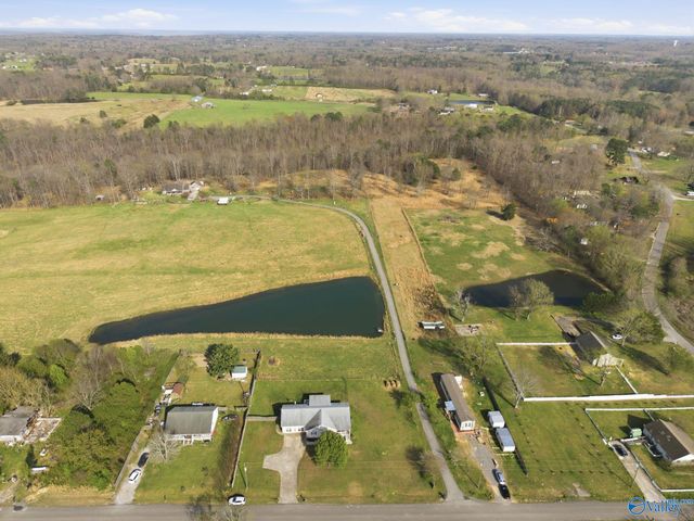 41 Morgan Nelson Road, Falkville, AL 35622