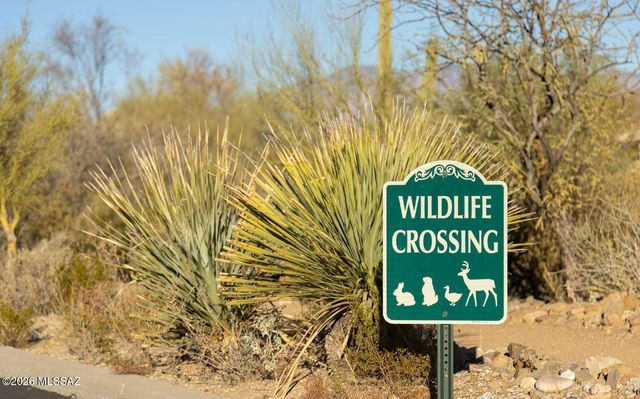 3630 N Raven Wash Drive, Tucson, AZ 85745