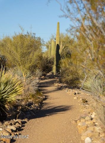 3630 N Raven Wash Drive, Tucson, AZ 85745