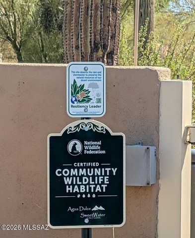 3630 N Raven Wash Drive, Tucson, AZ 85745