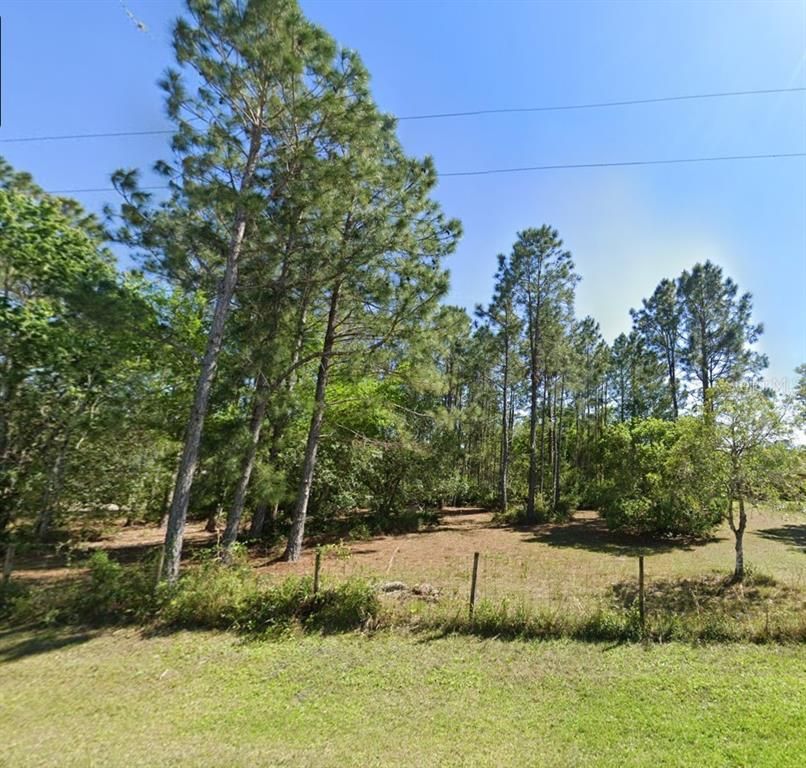 26300 PHEASANT RUN, Wesley Chapel, FL 33544