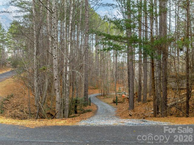 201 Hawk Ridge Drive, Mill Spring, NC 28756