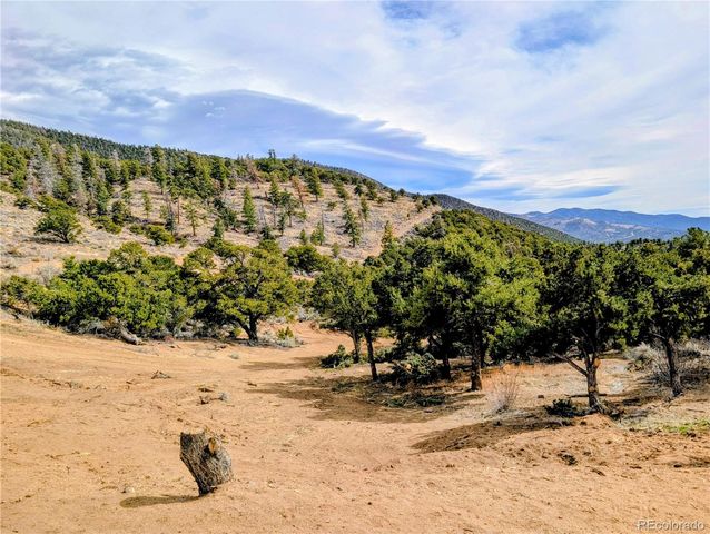 7436 Waligunda Street, Fort Garland, CO 81133