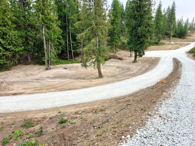 3490 Ohana Way, Valley, WA 99181