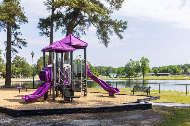 272 Alice Trace Place, Angier, NC 27501