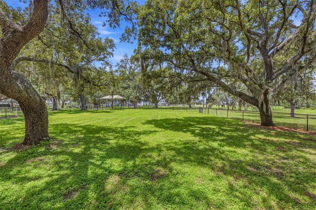 11126 MANOR HOUSE LANE, Odessa, FL 33556