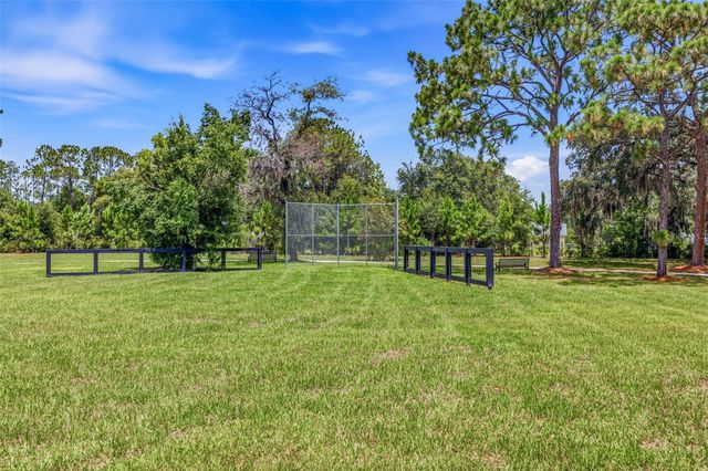 11126 MANOR HOUSE LANE, Odessa, FL 33556