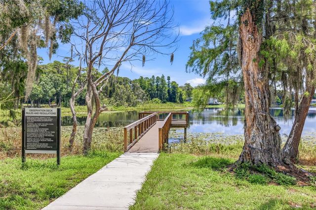 11126 MANOR HOUSE LANE, Odessa, FL 33556