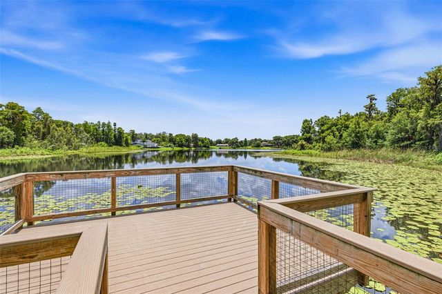 11126 MANOR HOUSE LANE, Odessa, FL 33556