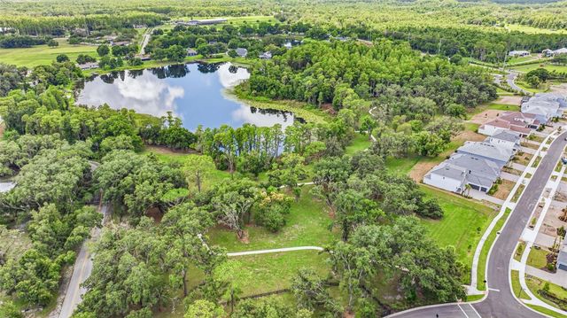 11126 MANOR HOUSE LANE, Odessa, FL 33556