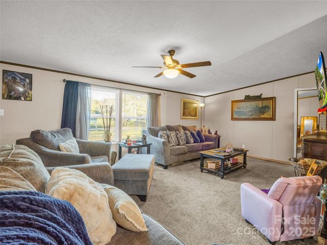 221 Turkey Pen Gap Road, Horse Shoe, NC 28742