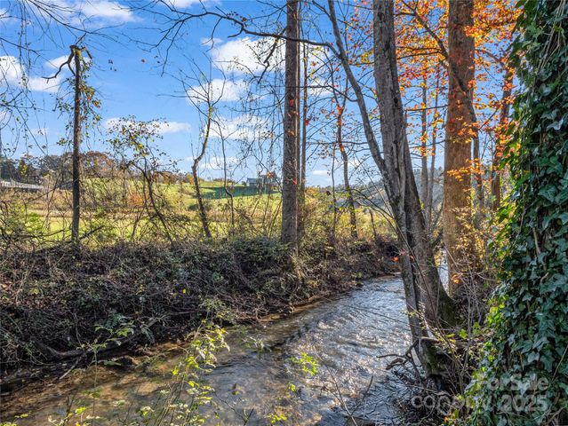 221 Turkey Pen Gap Road, Horse Shoe, NC 28742
