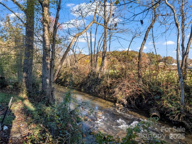 221 Turkey Pen Gap Road, Horse Shoe, NC 28742