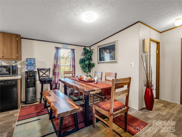 221 Turkey Pen Gap Road, Horse Shoe, NC 28742