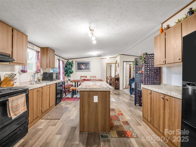 221 Turkey Pen Gap Road, Horse Shoe, NC 28742