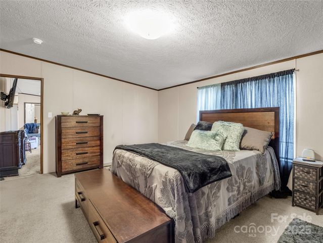 221 Turkey Pen Gap Road, Horse Shoe, NC 28742