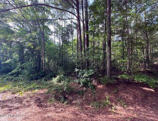 916 Virgin Mary Road, Camden, MS 39045
