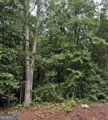 0 Lewis Drive LOT 20, Lavonia, GA 30553
