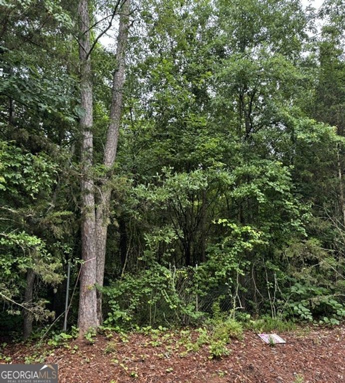 0 Lewis Drive LOT 20, Lavonia, GA 30553