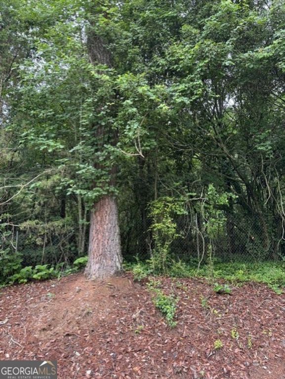 0 Lewis Drive LOT 20, Lavonia, GA 30553 — photo 2