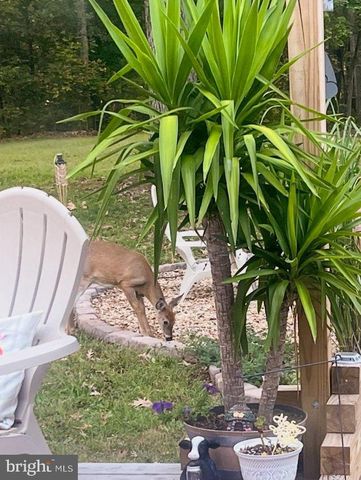 3820 KUMP STATION RD, Taneytown, MD 21787