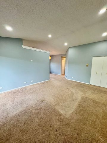 319 Deer Glen Way 2C, Bloomingdale, IL 60108