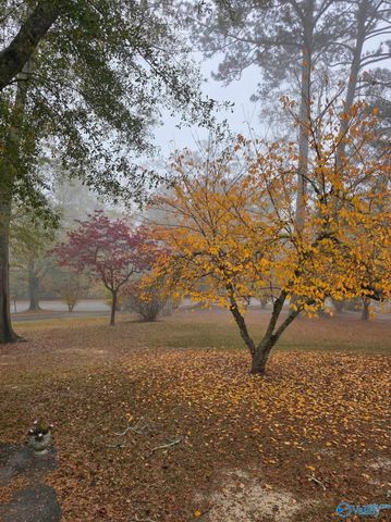 4010 Tabor Road, Gadsden, AL 35904