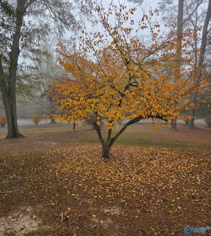 4010 Tabor Road, Gadsden, AL 35904