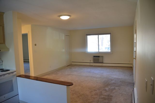 41 Lionel Ave D, Waltham, MA 02452