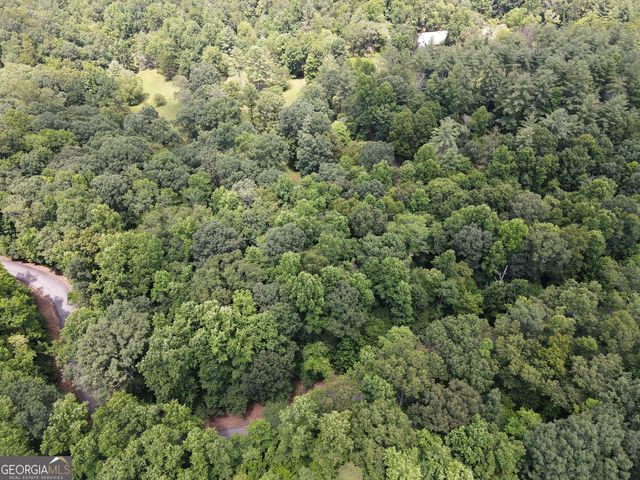 LOT 4 Scouts Overlook Lane, Morganton, GA 30560