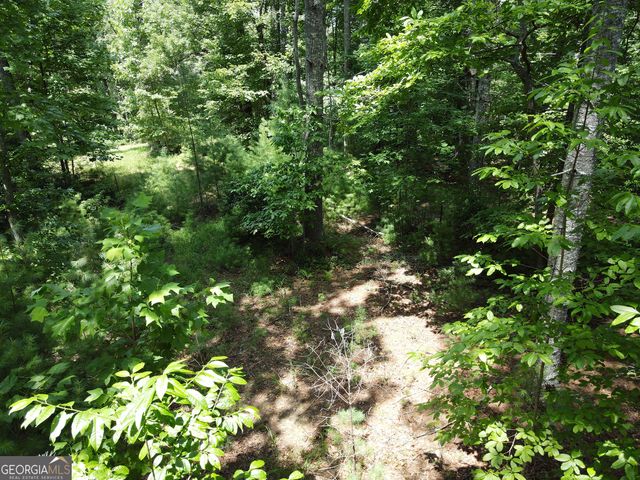 LOT 4 Scouts Overlook Lane, Morganton, GA 30560