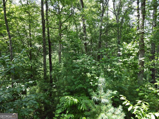 LOT 4 Scouts Overlook Lane, Morganton, GA 30560