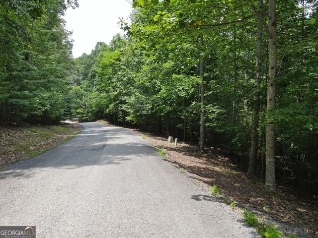 LOT 4 Scouts Overlook Lane, Morganton, GA 30560