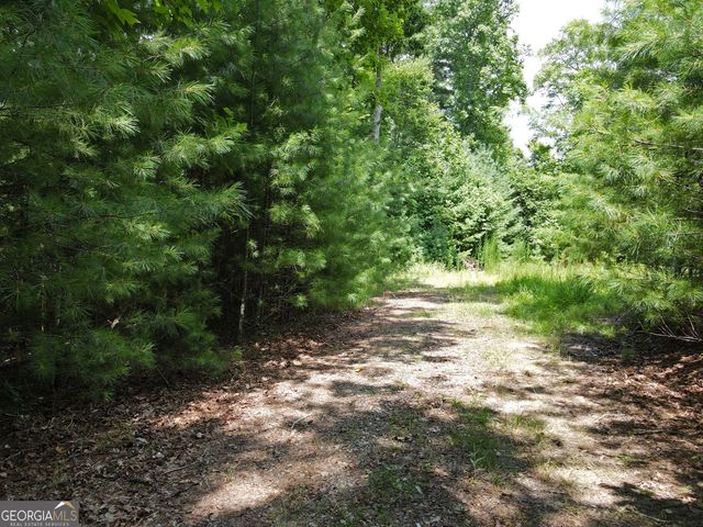LOT 4 Scouts Overlook Lane, Morganton, GA 30560