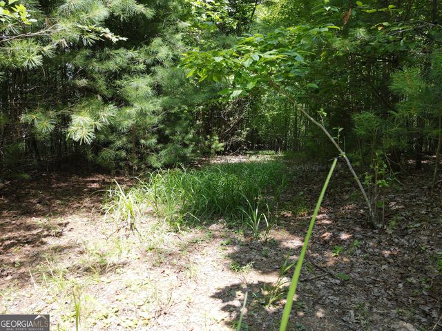 LOT 4 Scouts Overlook Lane, Morganton, GA 30560