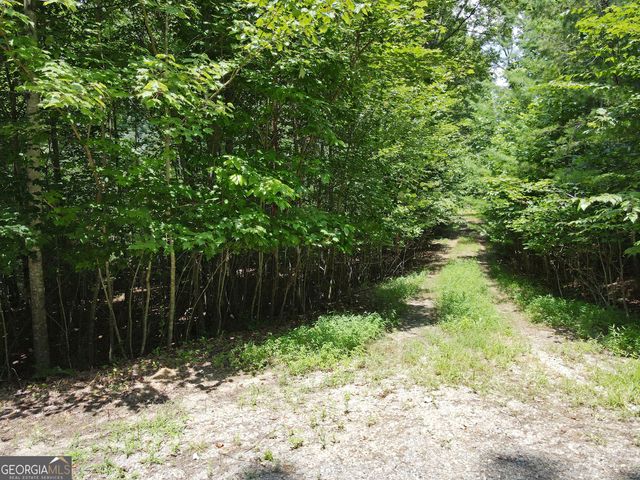 LOT 4 Scouts Overlook Lane, Morganton, GA 30560