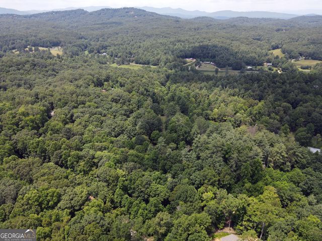 LOT 4 Scouts Overlook Lane, Morganton, GA 30560