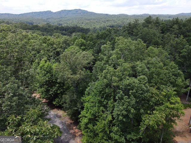 LOT 4 Scouts Overlook Lane, Morganton, GA 30560
