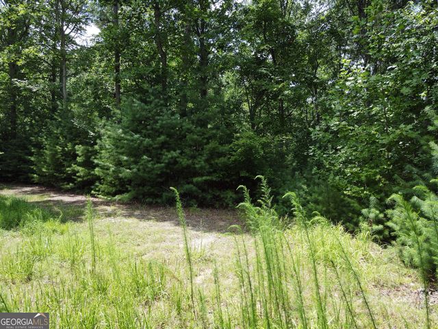 LOT 4 Scouts Overlook Lane, Morganton, GA 30560