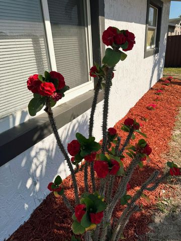 4010 NE 6th Avenue, Deerfield Beach, FL 33064