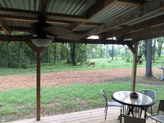2677 Pigg Schoolhouse Rd, Santa Fe, TN 38482