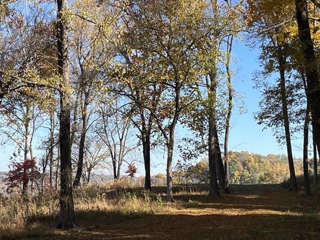 2677 Pigg Schoolhouse Rd, Santa Fe, TN 38482